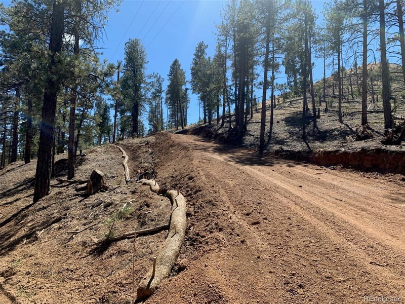 15421 Westcreek Rd, Woodland Park, CO 80863