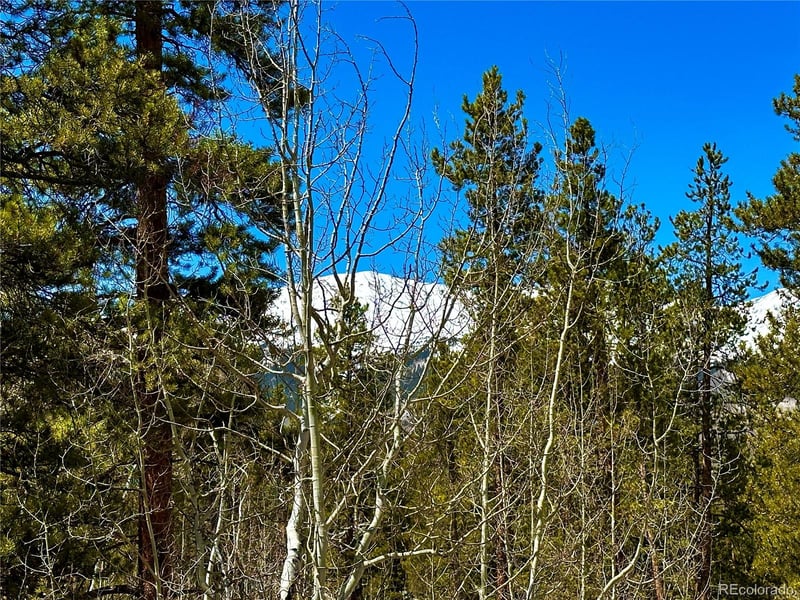 872 Lodgepole Dr, Twin Lakes, CO 81251
