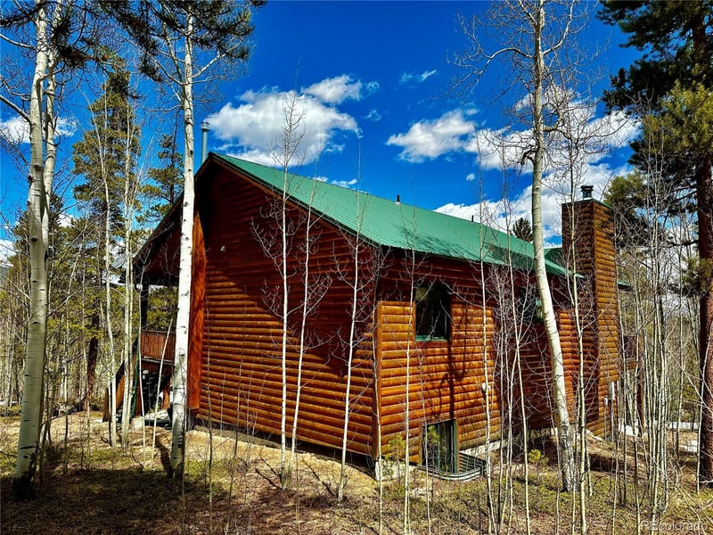 872 Lodgepole Dr, Twin Lakes, CO 81251