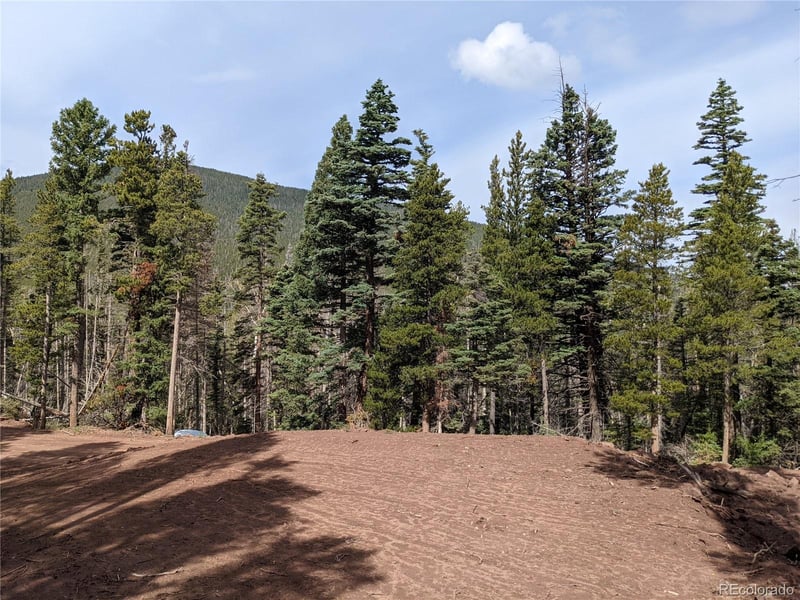 3331 Purnell Ln, Fort Garland, CO 81133