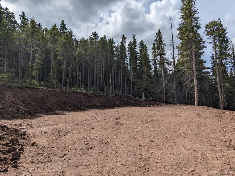 3331 Purnell Ln, Fort Garland, CO 81133