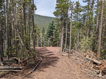 3331 Purnell Ln, Fort Garland, CO 81133