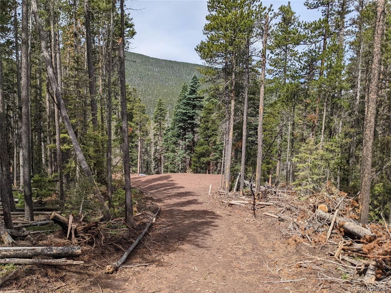 3331 Purnell Ln, Fort Garland, CO 81133