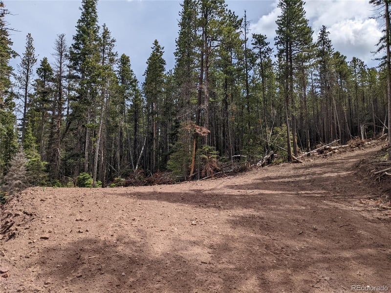 3331 Purnell Ln, Fort Garland, CO 81133