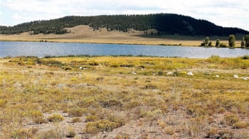 99 Pack Saddle Ct, Hartsel, CO 80449