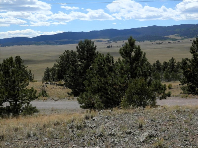 99 Pack Saddle Ct Lot 0452, Hartsel, CO 80449