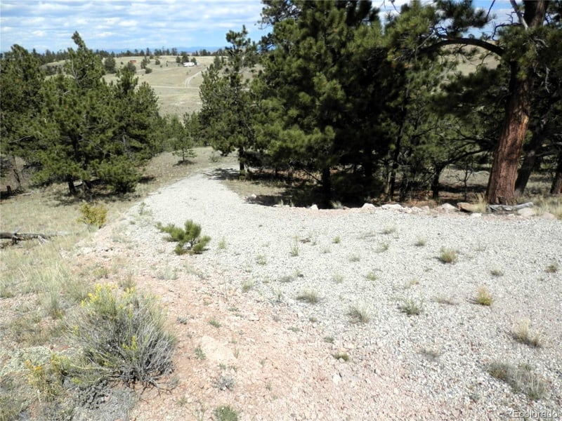 99 Pack Saddle Ct Lot 0452, Hartsel, CO 80449