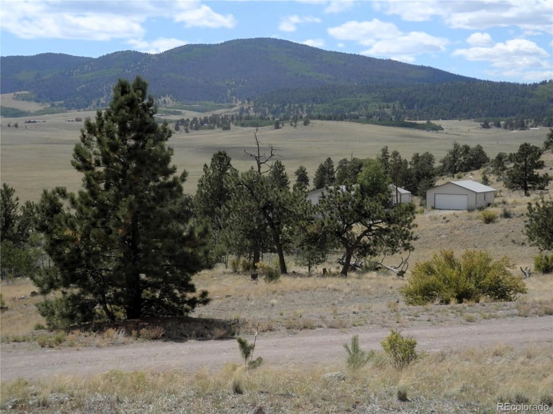 99 Pack Saddle Ct Lot 0452, Hartsel, CO 80449