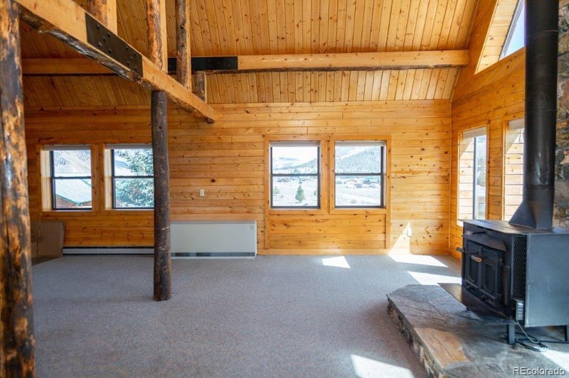 427 River Dr, Creede, CO 81130