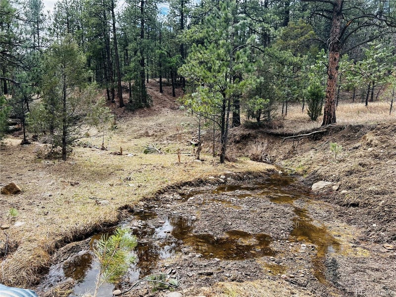 Lot 36 Logging Canyon Rd Lot 36, Weston, CO 81091