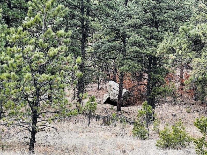 Lot 36 Logging Canyon Rd Lot 36, Weston, CO 81091