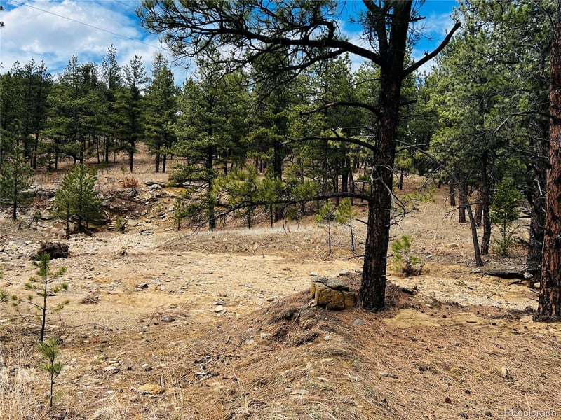Lot 36 Logging Canyon Rd Lot 36, Weston, CO 81091