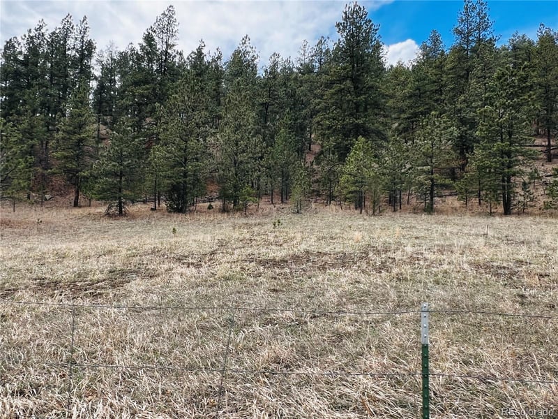 Lot 36 Logging Canyon Rd Lot 36, Weston, CO 81091