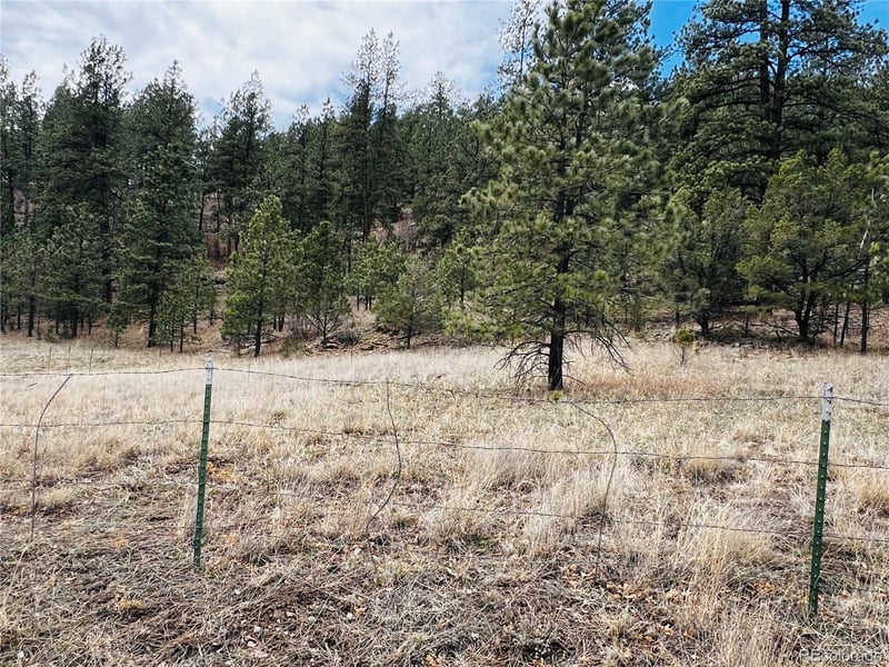 Lot 36 Logging Canyon Rd Lot 36, Weston, CO 81091