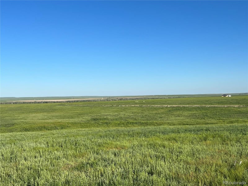 35520 County Road 160, Agate, CO 80101