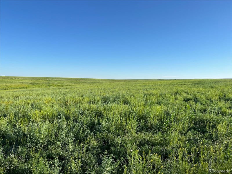 35520 County Road 160, Agate, CO 80101