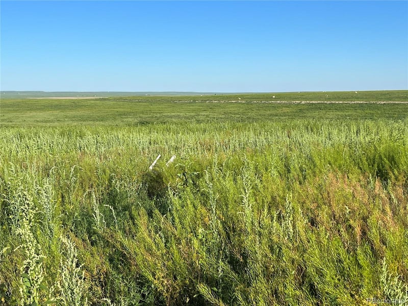 35520 County Road 160, Agate, CO 80101