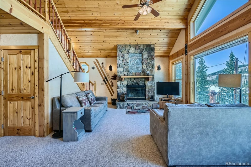 2698 County Road 4, Alma, CO 80420
