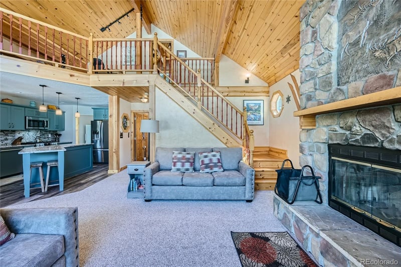 2698 County Road 4, Alma, CO 80420