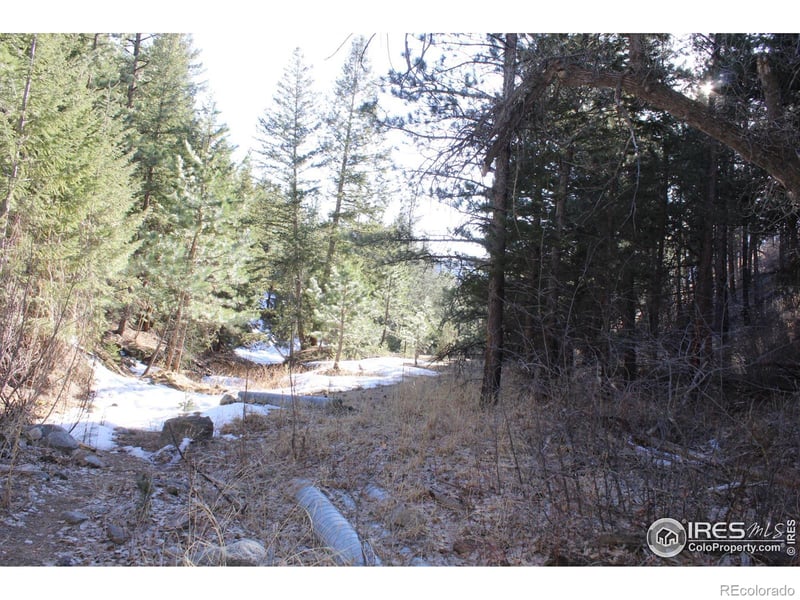 0 Gold Run Rd, Boulder, CO 80302