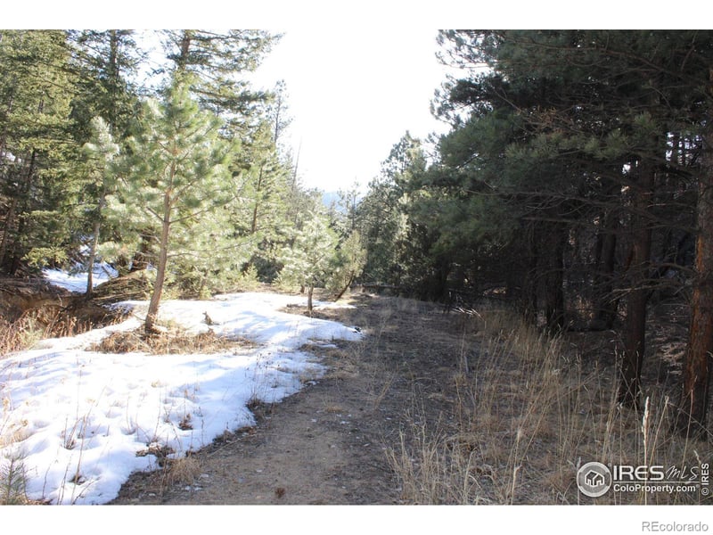 0 Gold Run Rd, Boulder, CO 80302
