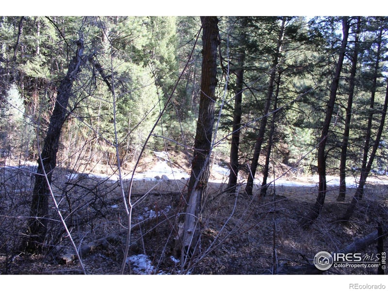 0 Gold Run Rd, Boulder, CO 80302