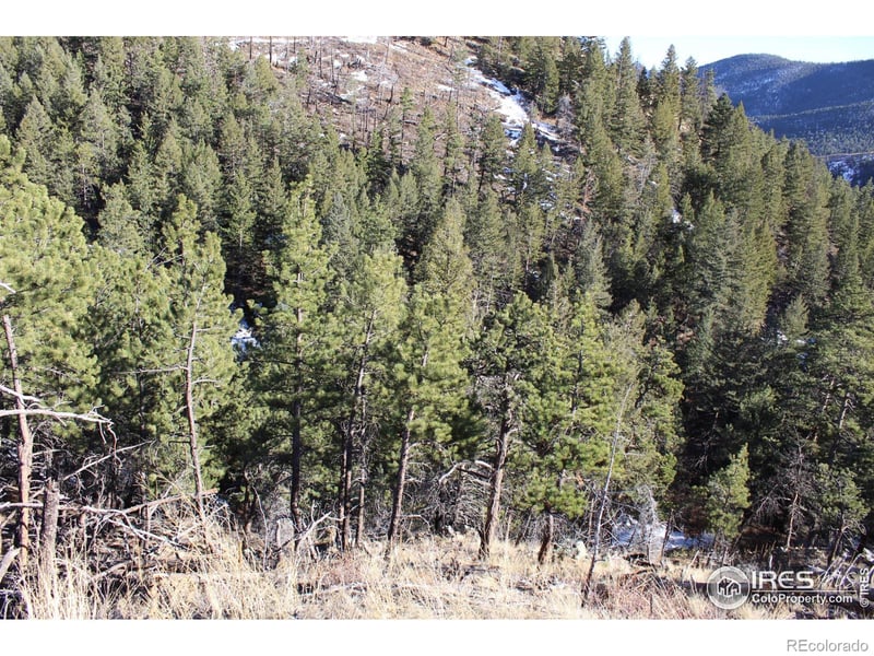 0 Gold Run Rd, Boulder, CO 80302