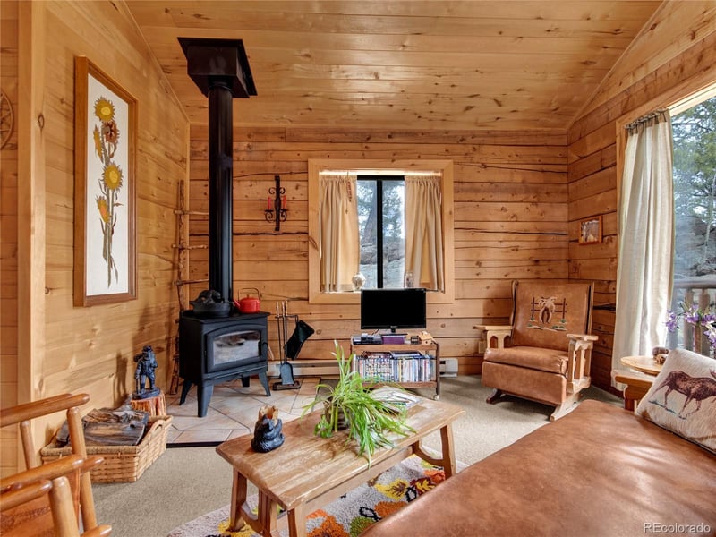 1462 Pulver Rd, Lake George, CO 80827