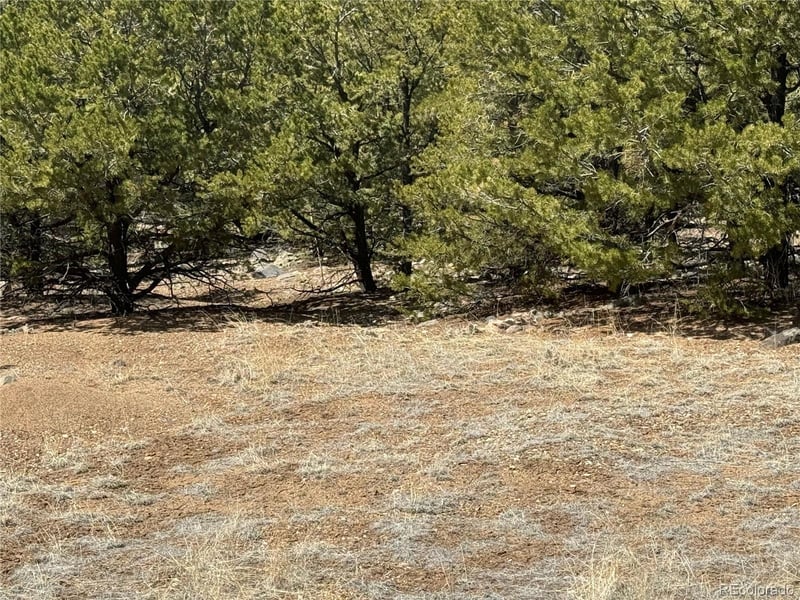 00103 Ute Dr, Mosca, CO 81146