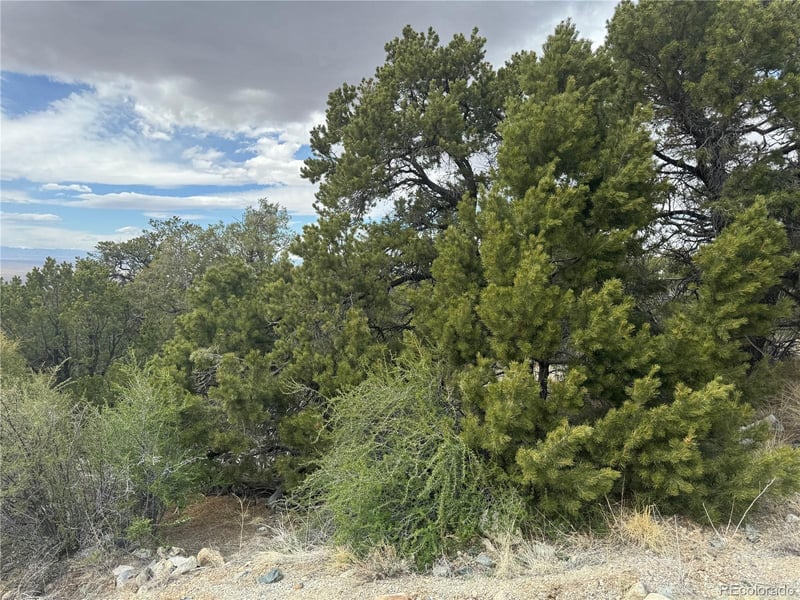 338 Cedar Ridge Rd, Mosca, CO 81146