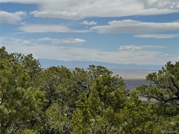 338 Cedar Ridge Rd, Mosca, CO 81146