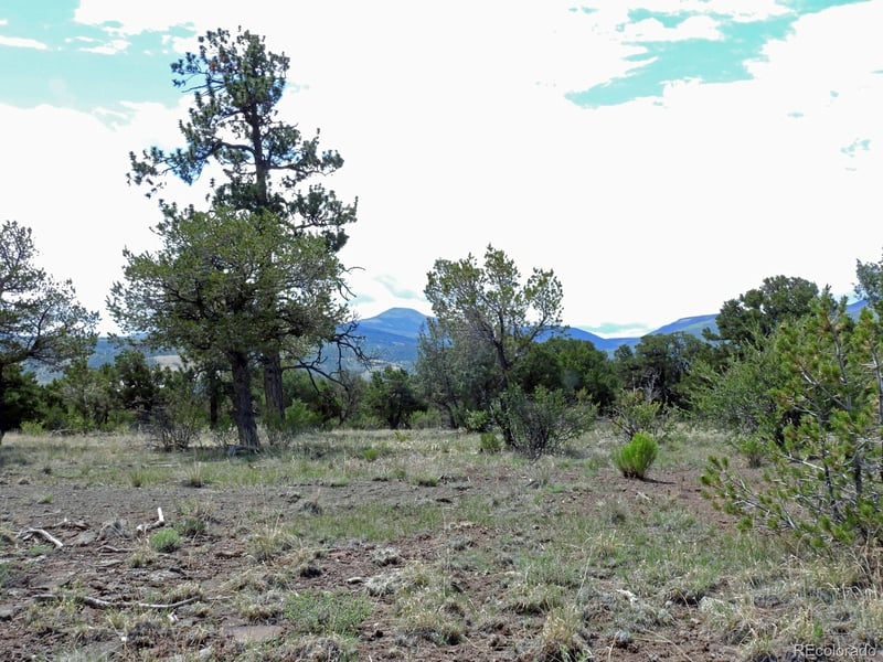 222 La Lomita Cir, South Fork, CO 81154