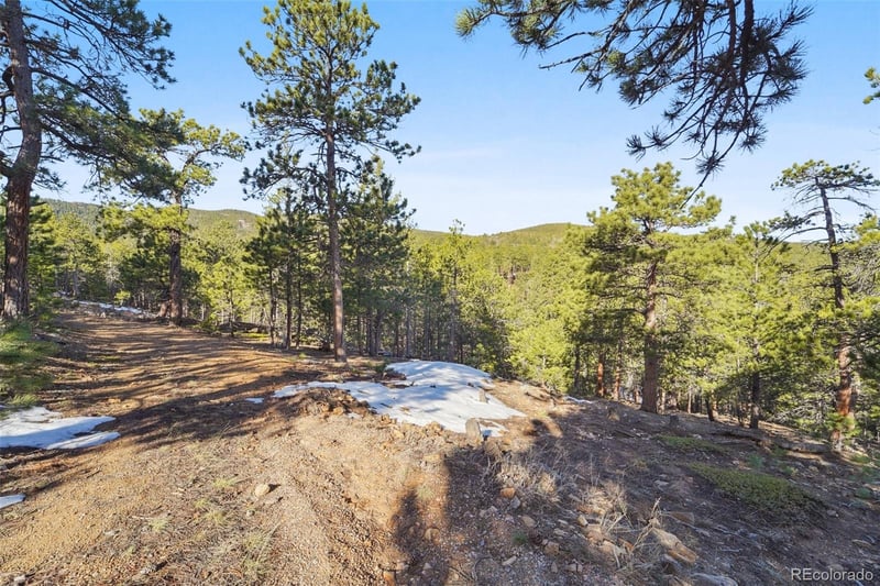 854 Crescent Lake Rd Lot 29, Golden, CO 80403