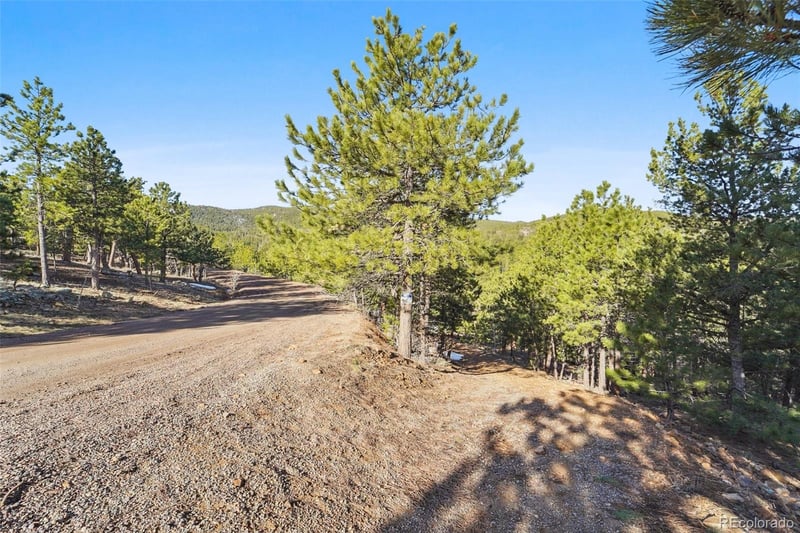 854 Crescent Lake Rd Lot 29, Golden, CO 80403
