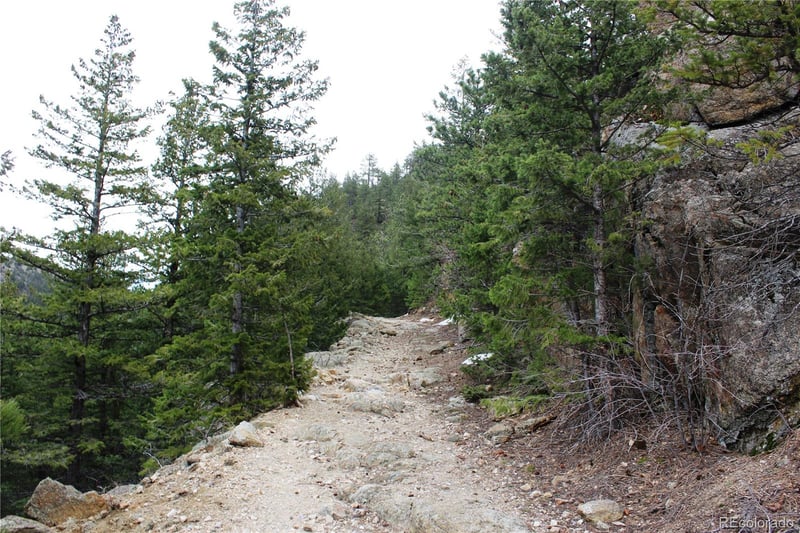 8333 Lefthand Canyon Dr, Jamestown, CO 80455