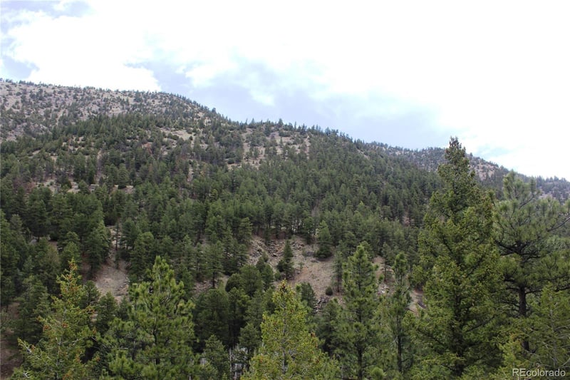 8333 Lefthand Canyon Dr, Jamestown, CO 80455