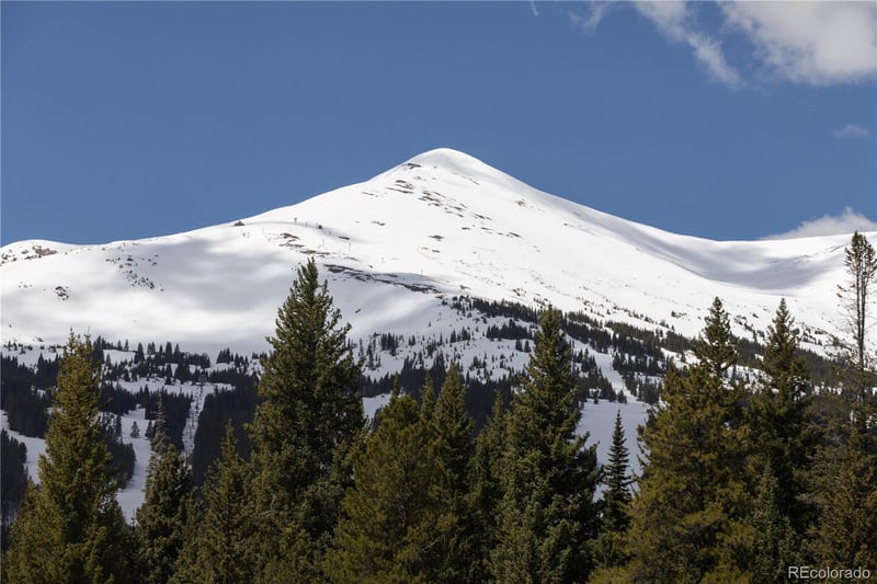 92 Cucumber Creek Rd, Breckenridge, CO 80424