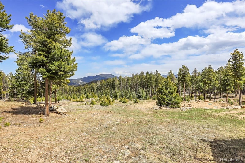 31682 Shadow Mountain Dr, Conifer, CO 80433