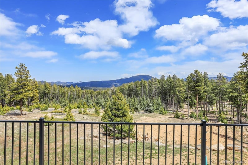 31682 Shadow Mountain Dr, Conifer, CO 80433