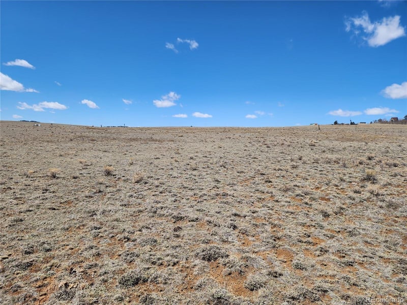 244 Brahma Cir, Hartsel, CO 80449