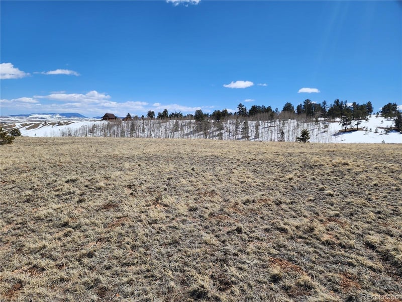 244 Brahma Cir, Hartsel, CO 80449