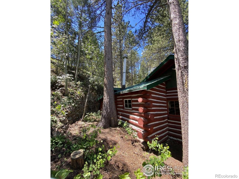 304 Highway 7 Business Route, Allenspark, CO 80510