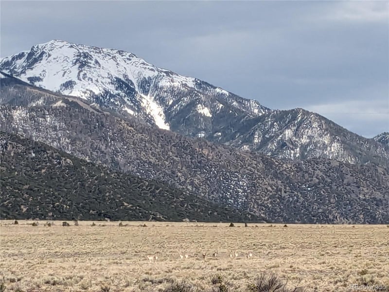 Cotton Creek Estate Filing 1 Tract 7, Moffat, CO 81143