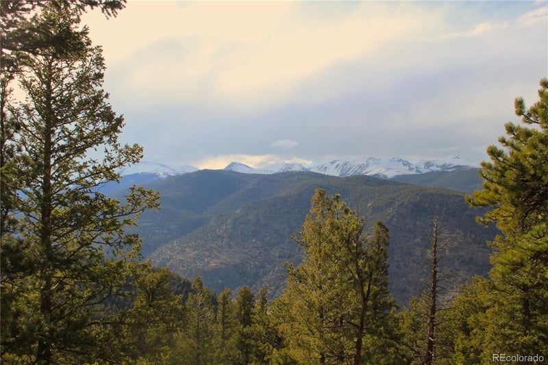 1111 Ohio Gulch Trl, Dumont, CO 80436