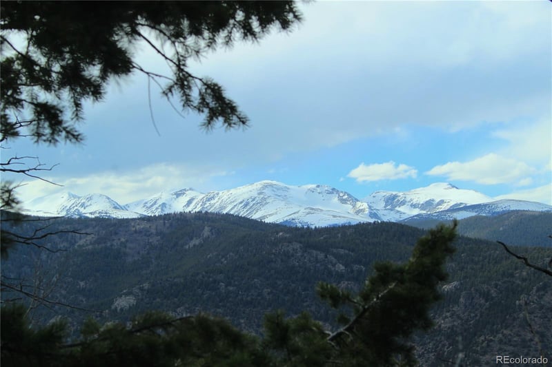 1111 Ohio Gulch Trl, Dumont, CO 80436