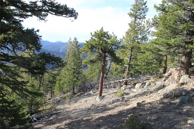 1111 Ohio Gulch Trl, Dumont, CO 80436