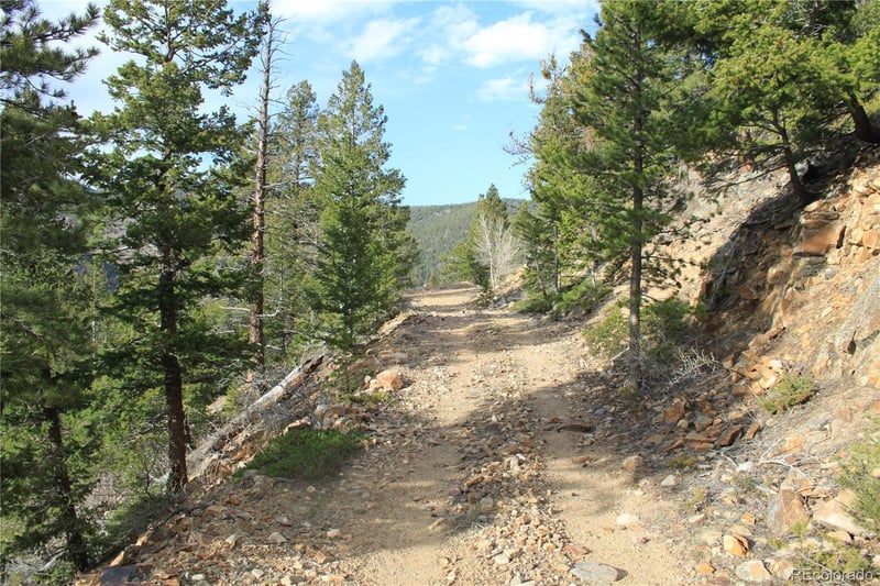 1111 Ohio Gulch Trl, Dumont, CO 80436