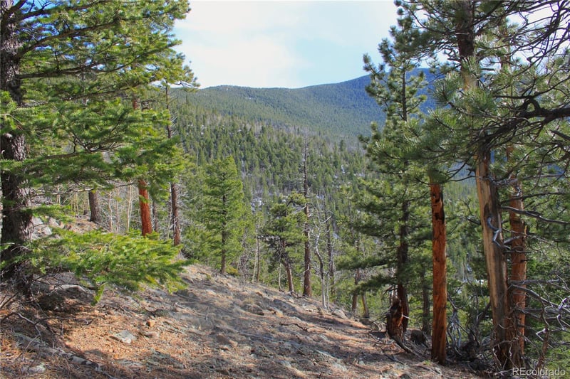 1111 Ohio Gulch Trl, Dumont, CO 80436