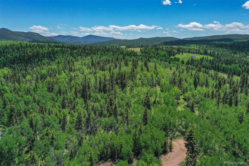 228 Worley Rd, Divide, CO 80814