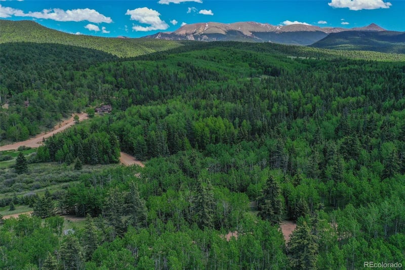 228 Worley Rd, Divide, CO 80814